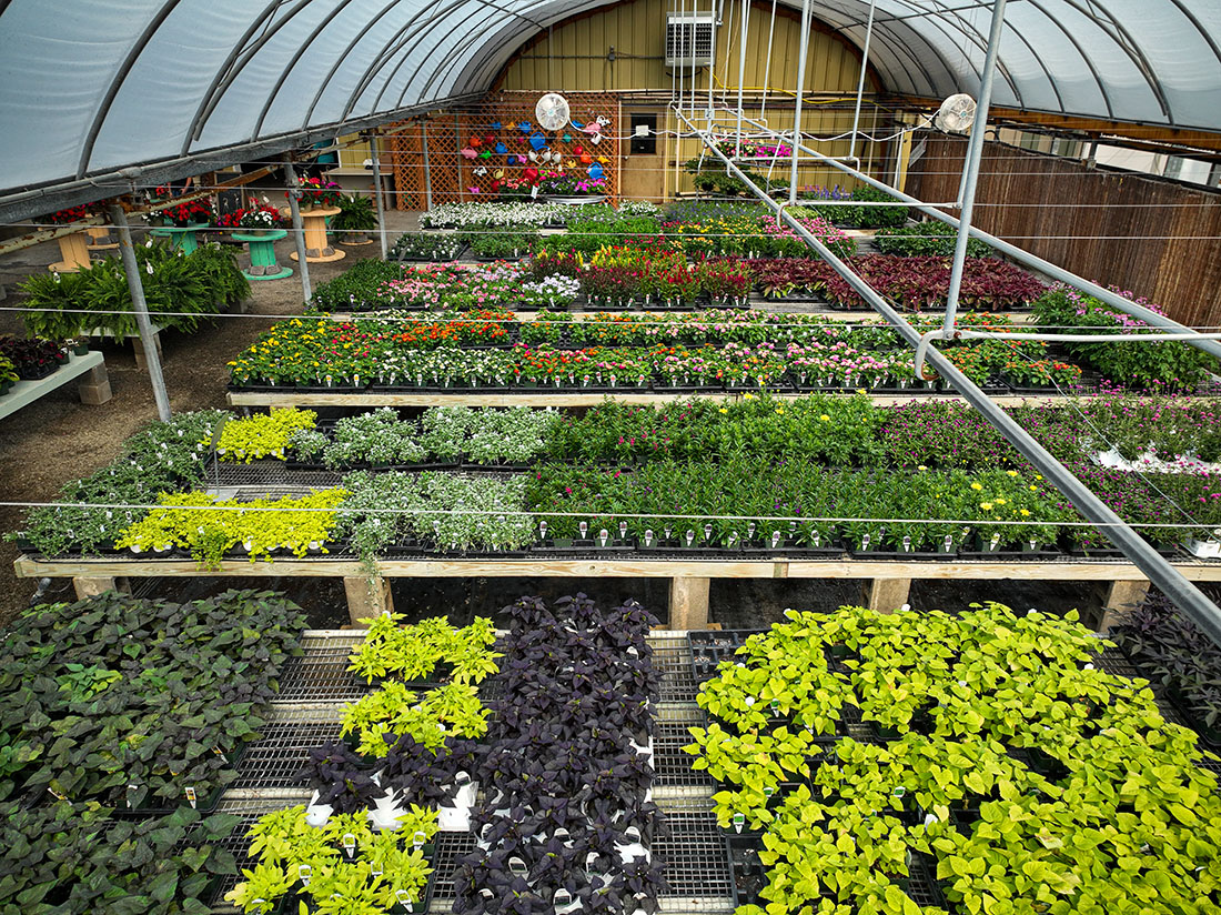 Drone Photo of Massi's Greenhouse in Painted Post, NY